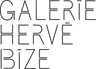 GALERIE  HERVE  BIZE