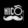 LES LUNETTES DE NICOLAS