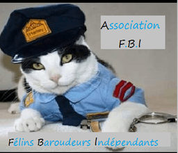 FBI - FELINS BAROUDEURS INDEPENDANTS
